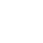 sandvik_logo_light